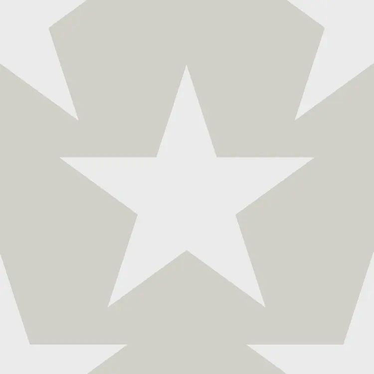 FC Joy- sterren grijs/wit 72123