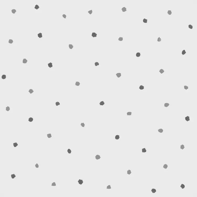 FC Joy- stippen wit/zwart/grijs 72013