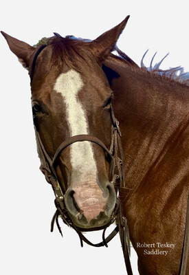 Western Headstalls and Bits