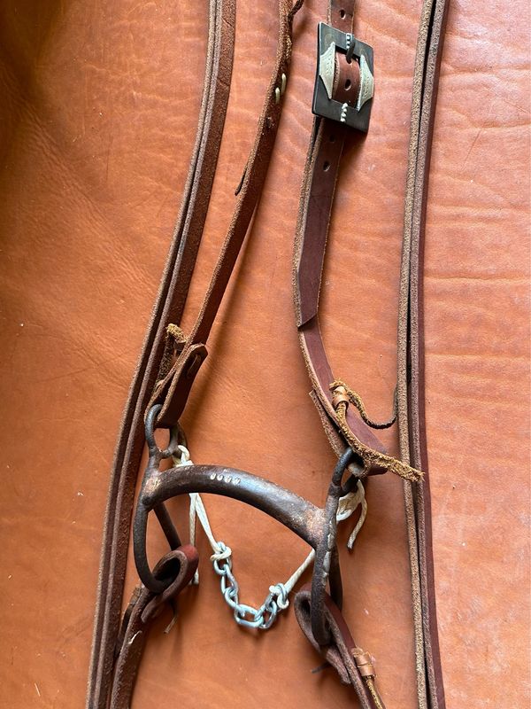 John Israel Colt Starter Bit with Israel’s 3/4” Width Branded Slit Ear Headstall and RD Stamped Single Rectangular Buckle with German Silver Trim &amp; Dots and 5/8” Width &amp; 8’ Length Split Reins