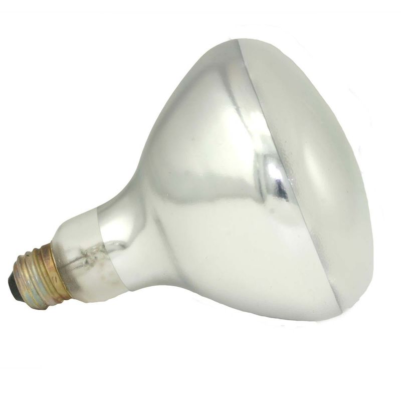 Covershield Incandescent R40 Reflector Flood 375W Medium (E26) Base 120V Dimmable