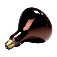 R40 Incandescent Heat Lamp 250W 2700K Medium (E26) Base 120V Red Dimmable