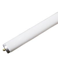 Fluorescent F48 T12 Tube 48in 39W 4100K Single Pin Base Instant Start Dimmable 2950 Lumens Avg Life 9000 hrs Fluorescent F48 T12 Tube 48in 39W 4100K Single Pin Base Instant Start Dimmable 2950 Lumens Avg Life 9000 hrs