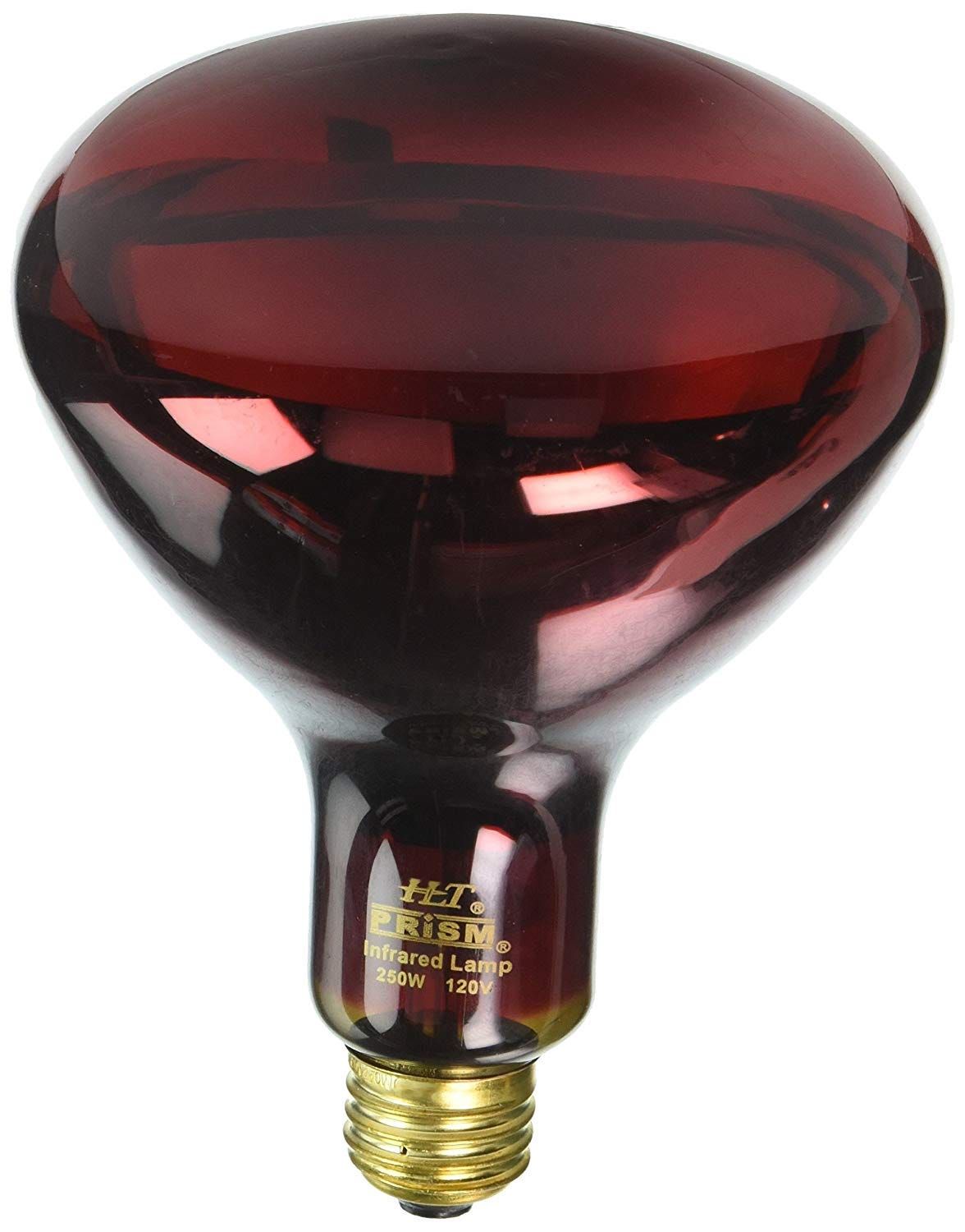 Covershield Incandescent R40 Red Flood 250W Medium (E26) Base 120V Dimmable Covershield Incandescent R40 Red Flood 250W Medium (E26) Base 120V Dimmable