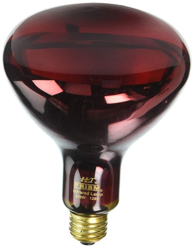 Covershield Incandescent R40 Red Flood 250W Medium (E26) Base 120V Dimmable