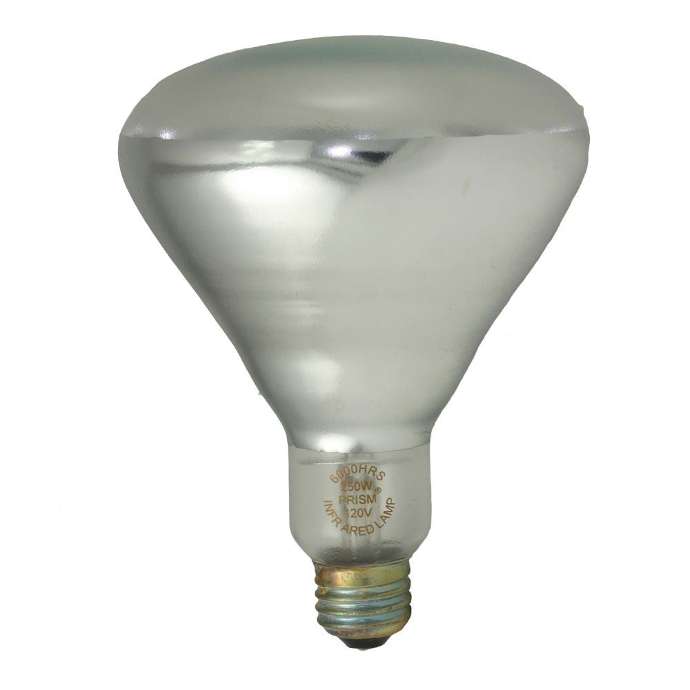 Covershield Incandescent BR40 Clear Heat Lamp 125W Medium (E26) Base 120V Dimmable