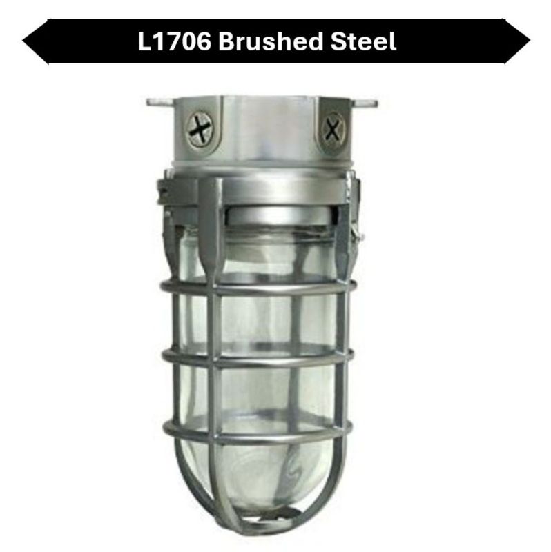 Topaz Outdoor Ceiling Mount Incandescent or LED Ready Vaportight Industrial Jelly Jar with E26 Socket for up to a 100W Incand or Equiv LED Bulb (not included) Die Cast Aluminum Brushed Steel Finish Topaz Outdoor Ceiling Mount Incandescent or LED Ready Vaportight Industrial Jelly Jar with E26 Socket for up to a 100W Incand or Equiv LED Bulb (not included) Die Cast Aluminum Brushed Steel Finish