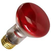 R20 Reflector Flood Incandescent Bulb 50W 2700K Medium (E26) Base 130V Red Dimmable