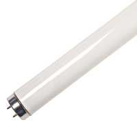 Fluorescent F40 T12 Tube 48in 30W 6500K Medium Bi-Pin Base Instant Start Dimmable 2325 Lumens Avg Life 20000 hrs