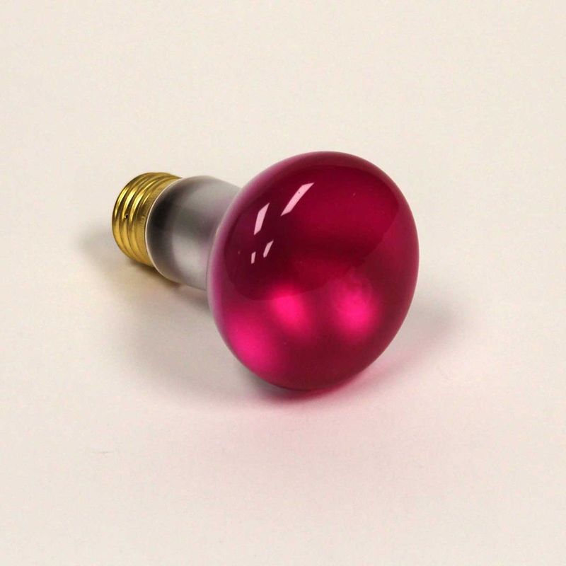 R20 Reflector Flood Incandescent Bulb 50W 2700K Medium (E26) Base 130V Pink Dimmable