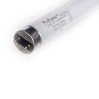 Fluorescent F32 T8 Tube 48in 32W 4100K Medium Bi-Pin Base Instant-Programmed Start Non-Dimmable 3050 Lumens Avg Life 24000 hrs