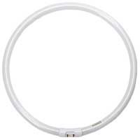 Fluorescent FC40 T5 Circleline 12in 40W 4100K 2GX13 Base Programmed Start Dimmable 3350 Lumens Avg Life 12000 hrs
