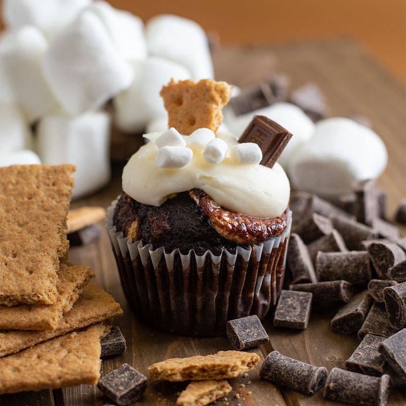 Smores Cupcake