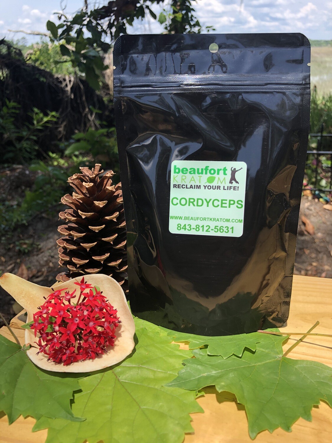Cordyceps Mushroom Cordyceps Mushroom