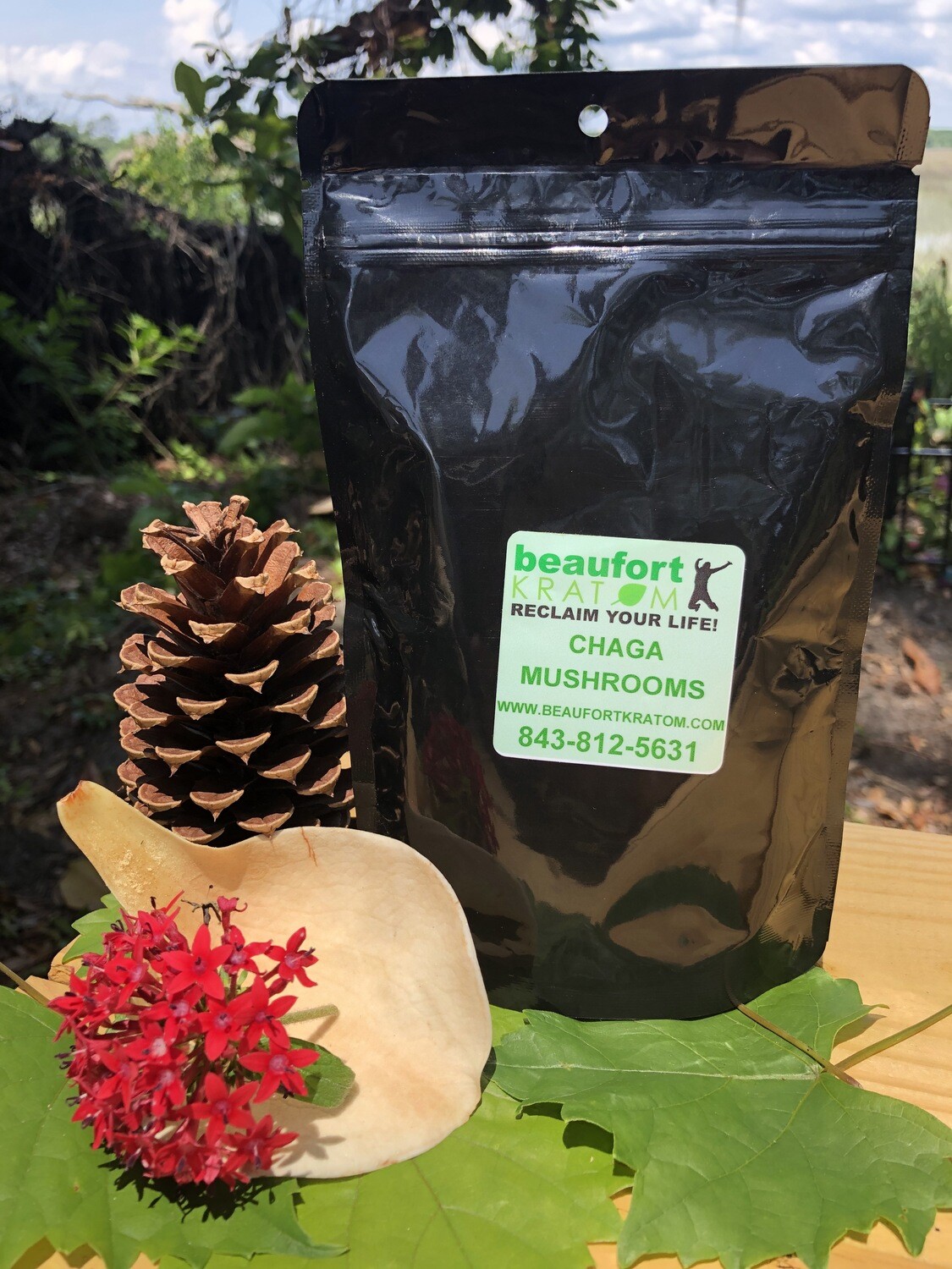 Chaga Mushroom Extract Chaga Mushroom Extract