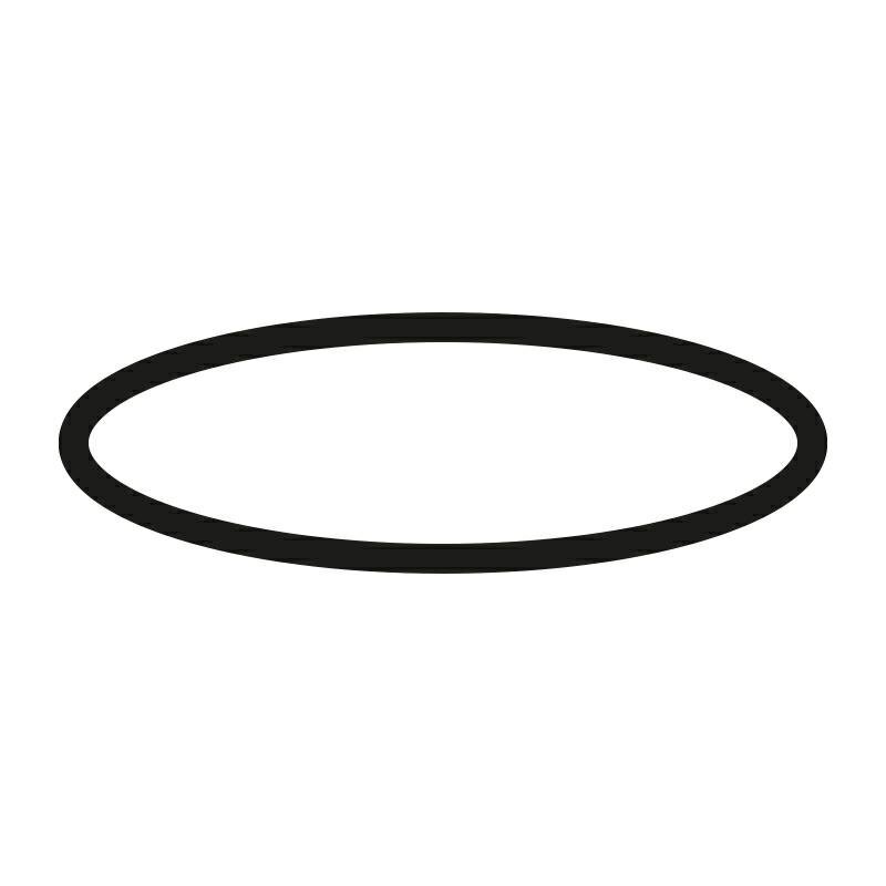 Guarnizione Tonda Ricambio Tappo Serbatoio Acqua Maschio