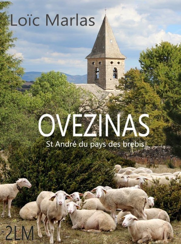 Ovézinas