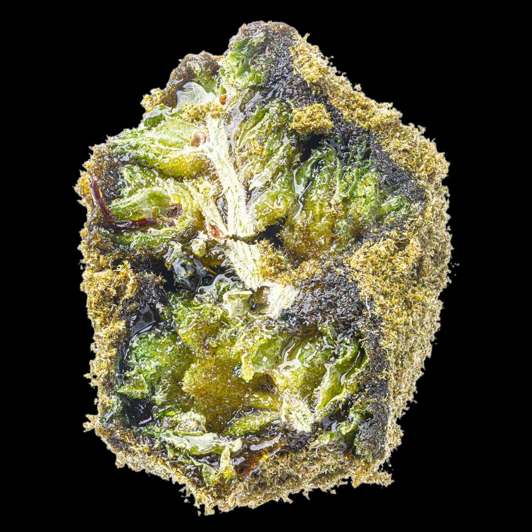 ZKITTLEZ X BISCOTTI