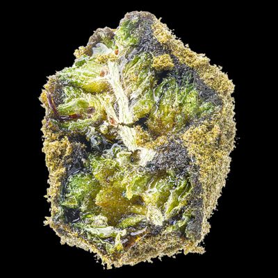 ZKITTLEZ X BISCOTTI