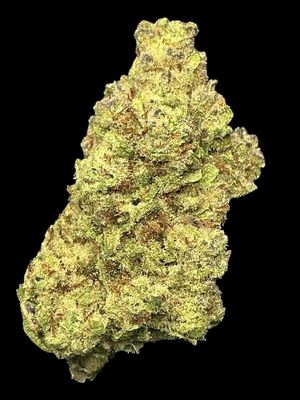 G.M.O GRAPE