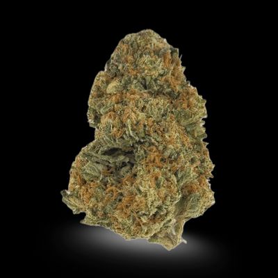 BISCOTTI- GREENHOUSE
