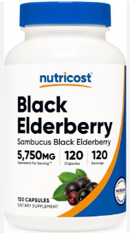 Black Elderberry
