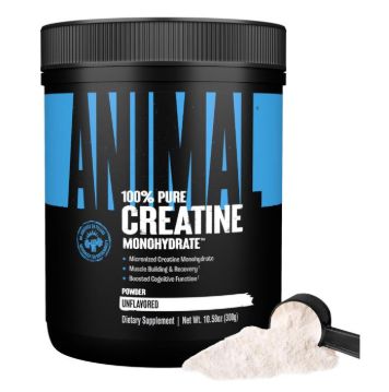 ANIMAL CREATINE 300g UNFLAVORED