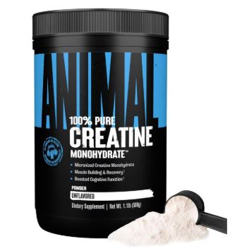 ANIMAL CREATINE 500g UNFLAVORED