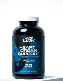 Heart +Organ + Support