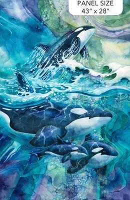 Whale Song