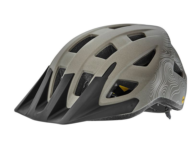 Giant Path MIPS Helmet S/M Matte Metal