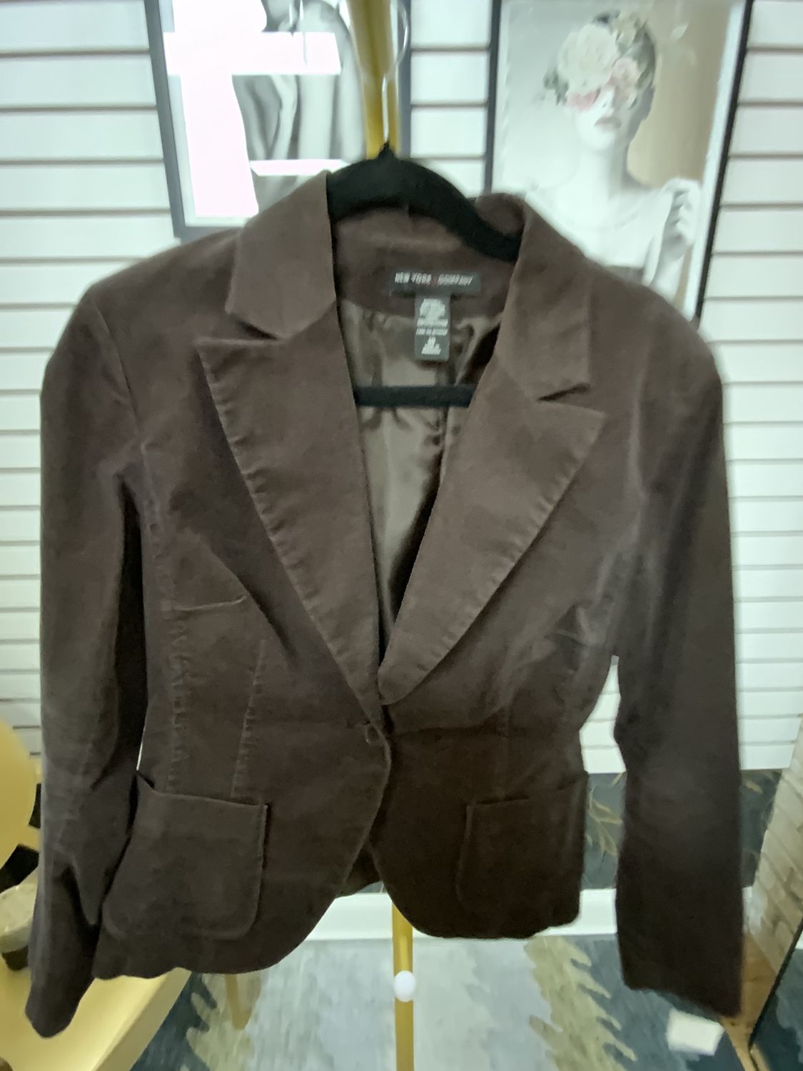 Woman Brown Velour Single Button Jacket Size 10