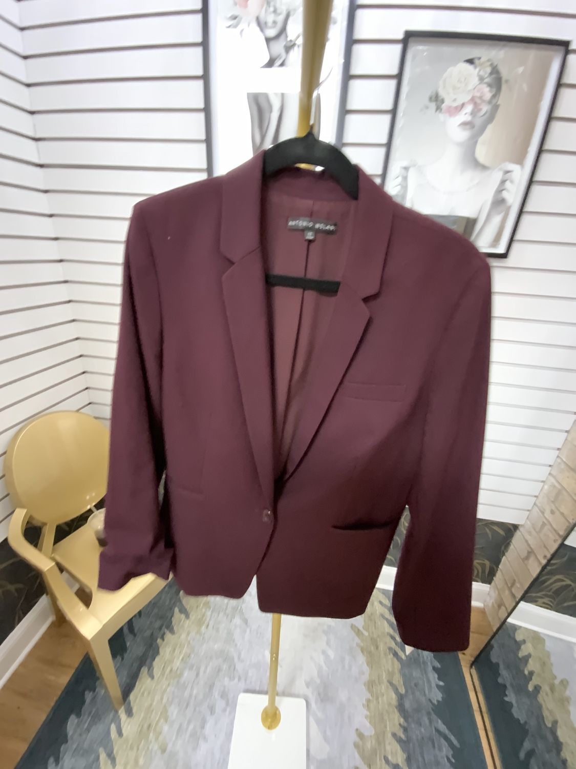 Woman Plum Single Button Jacket Size 12