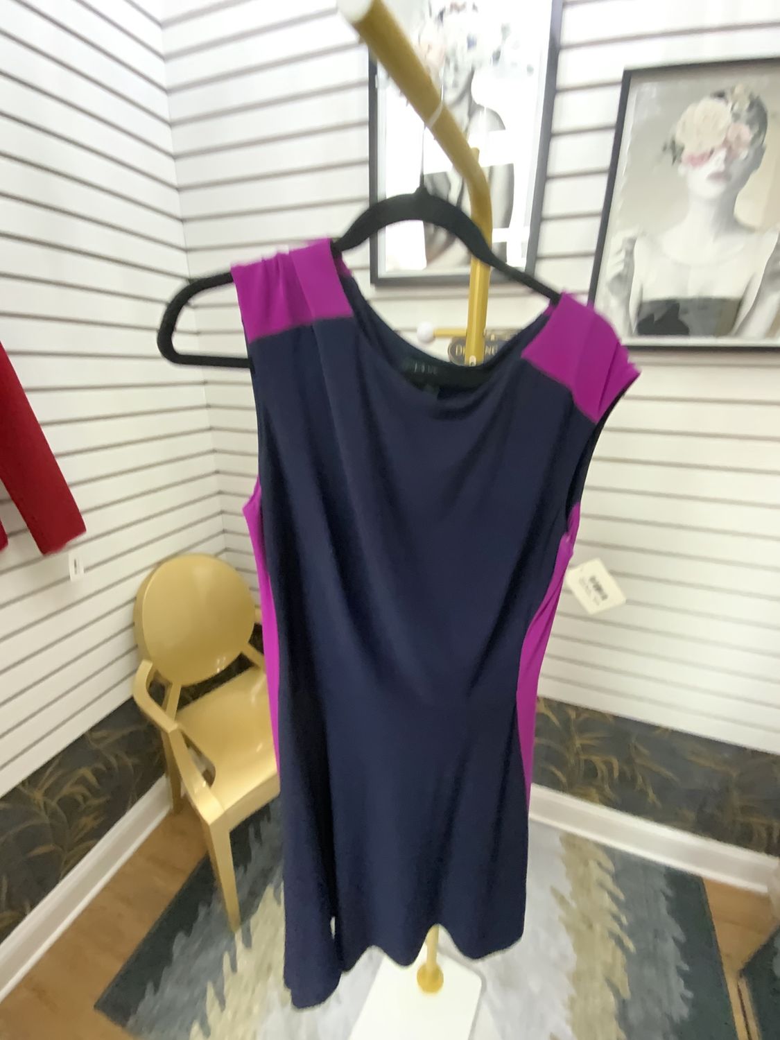 Woman Blue and Raspberry Sleeveless Dress Size 12
