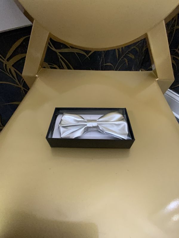 Men's Metalic Silver Banded Bow Tie