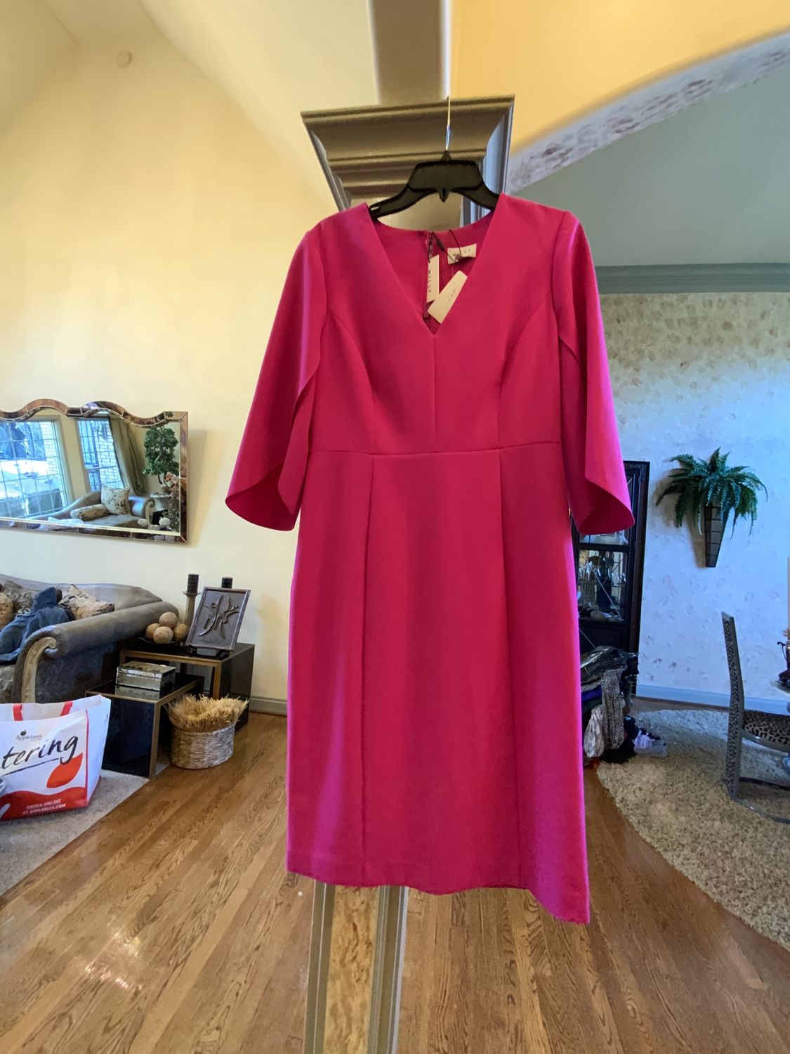 Woman Fuchsia Dress Reg $ 375 Size 10