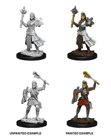 DND Unpainted Minis WV8 Female Human Cleric