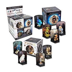 Wizarding World Magical Creatures Mystery Cube