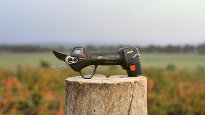 Tijeras Para Poda De Ramas