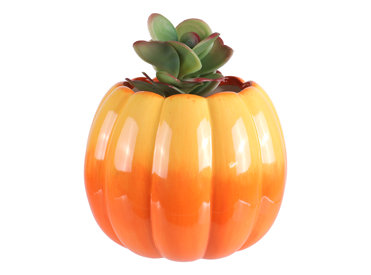 Pumpkin Planter