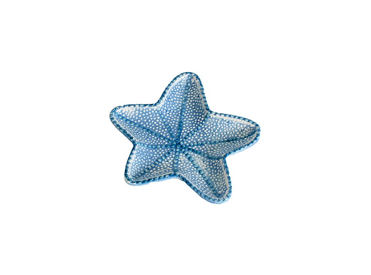 LITTLE starfish plate