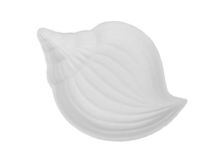 Little Shell Dish