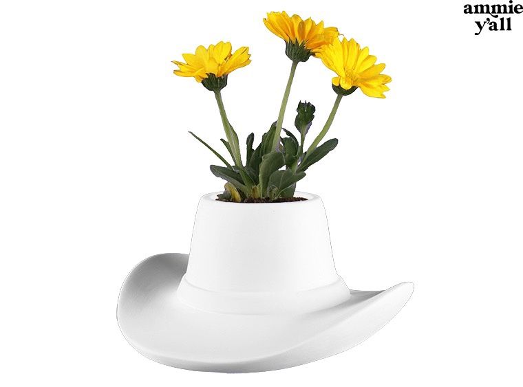 Cowboy Hat Container