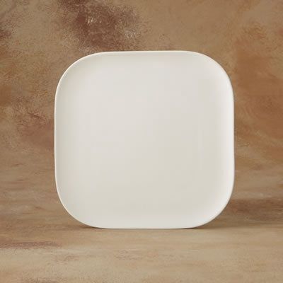 1068 - SQUIRCLE DINNER PLATE