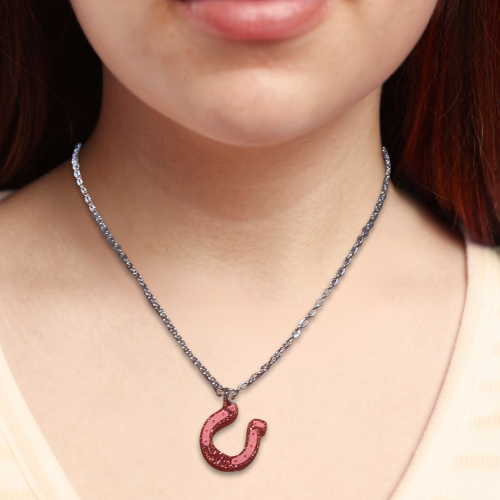 Sparkly Horse Shoe Necklace