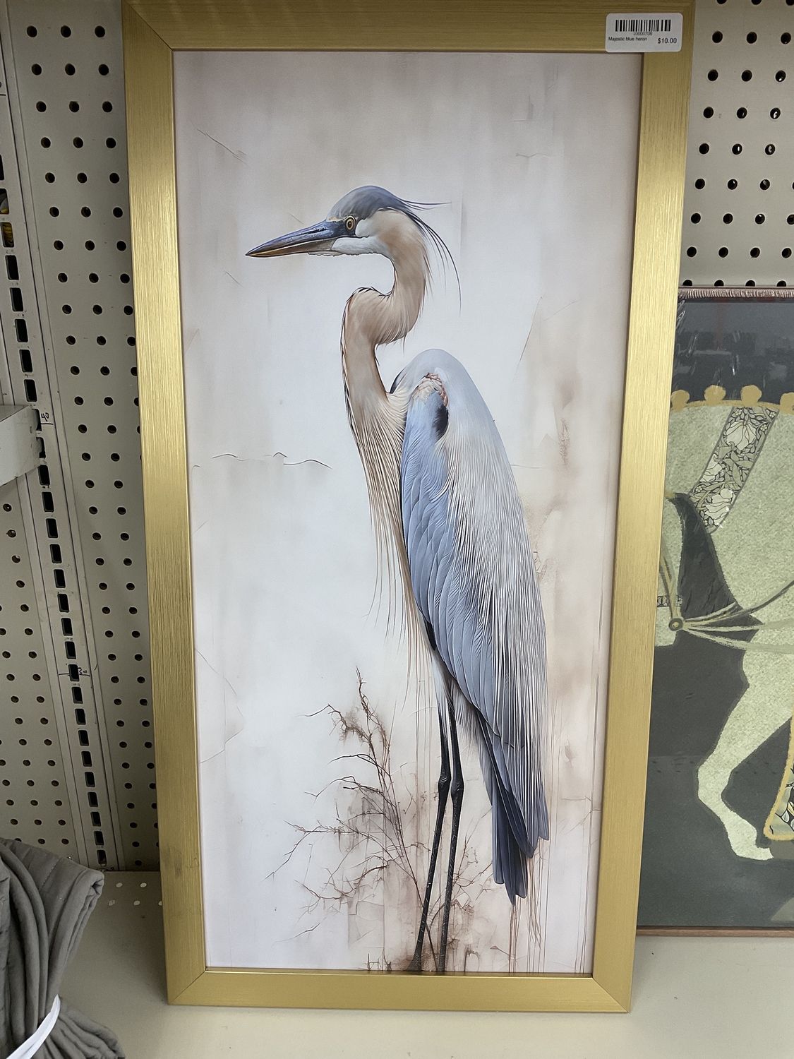 Majestic blue heron