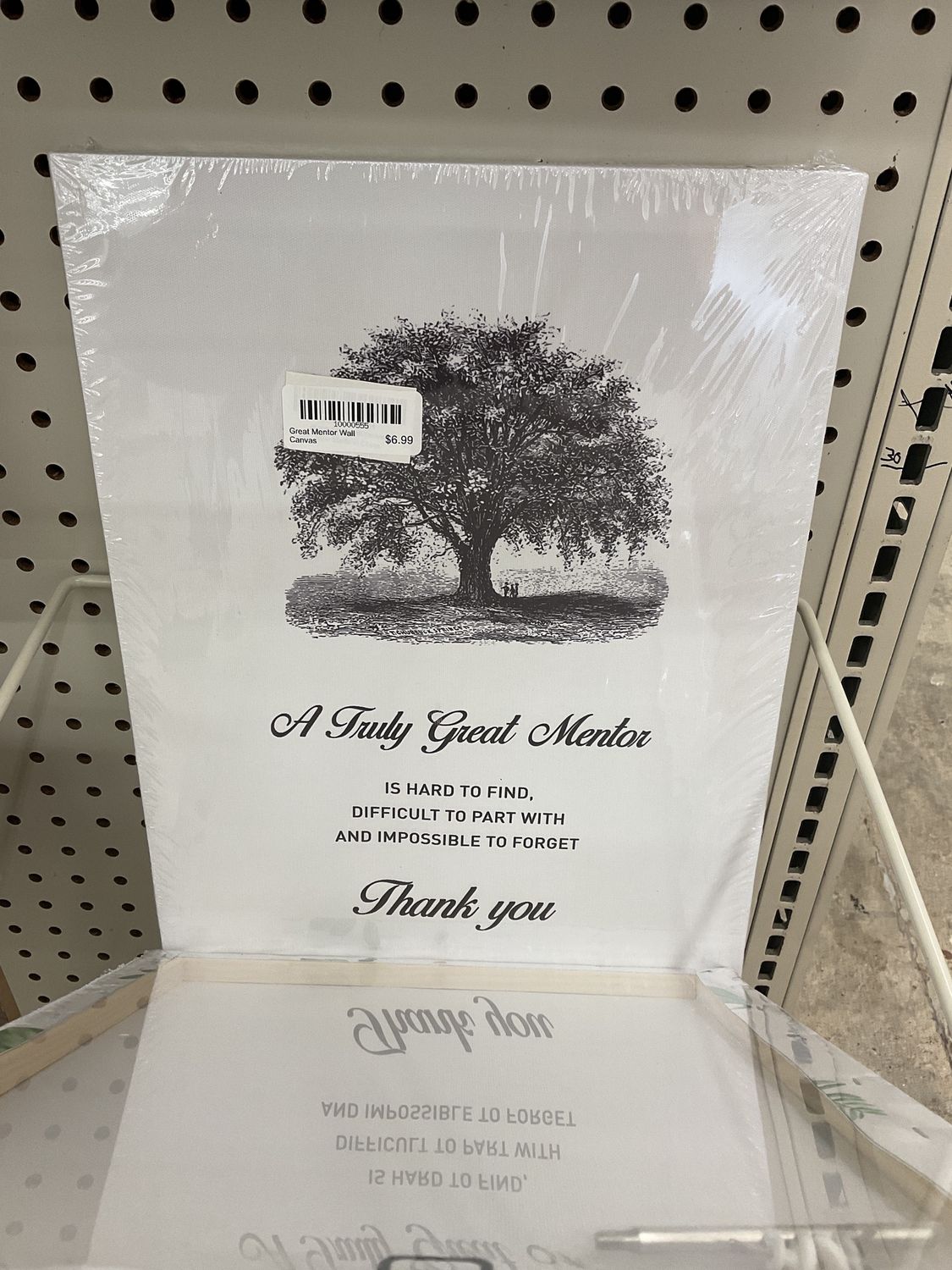 Great Mentor Wall Canvas