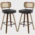 Lucania Barstools 2pk.