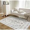 Washable Area Rug 4x6 Boho Style