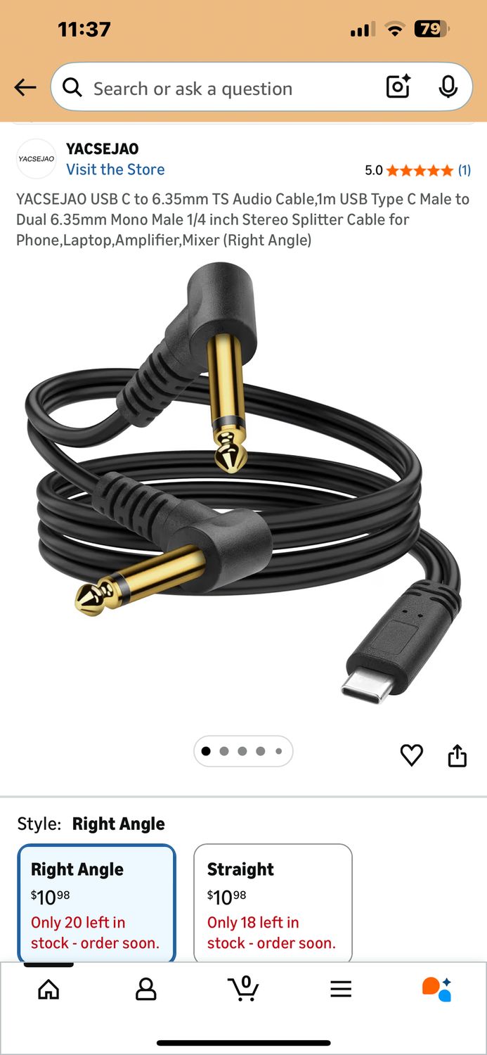 USB C to 6.35mm TS Audio Cable